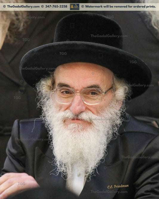 The Viznitz Mercaz Rebbe - Rav Mendel Hager 1