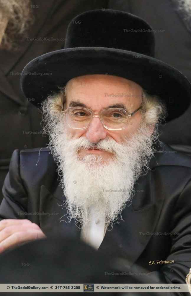 The Viznitz Mercaz Rebbe - Rav Mendel Hager 1 Sukkah Poster