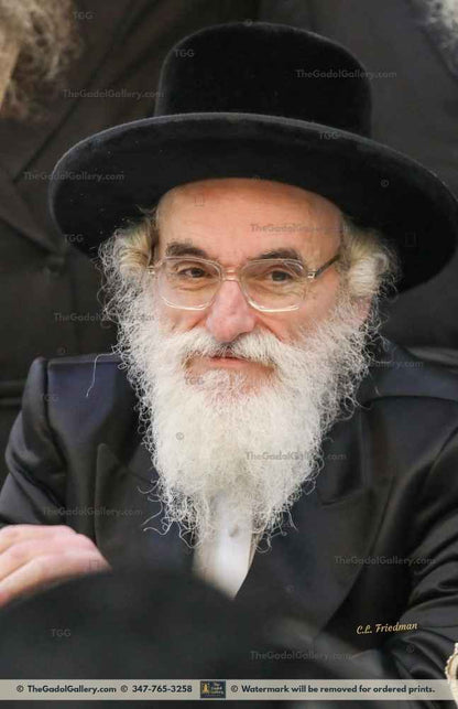 The Viznitz Mercaz Rebbe - Rav Mendel Hager 1 Sukkah Poster