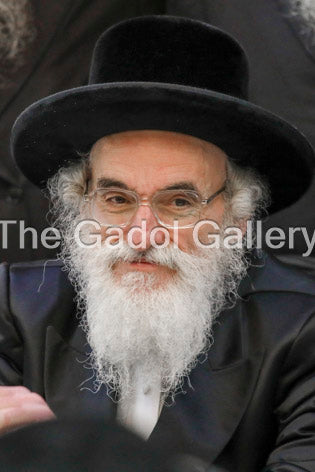 The Viznitz Mercaz Rebbe - Rav Mendel Hager