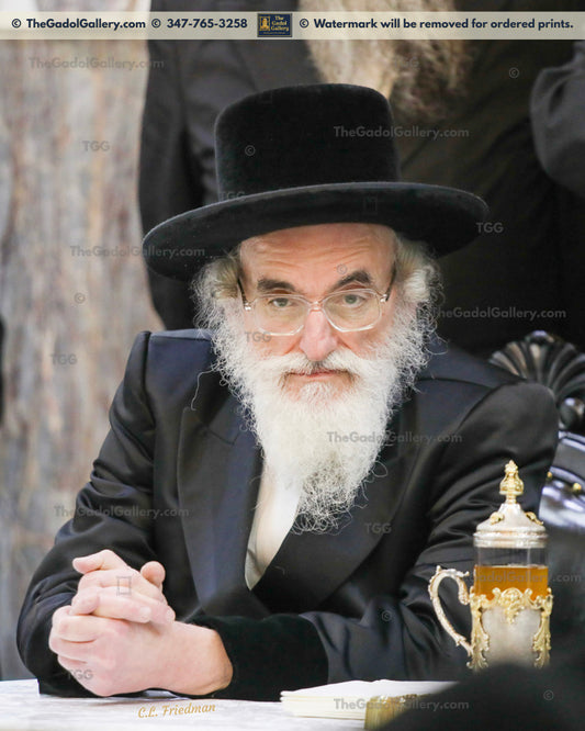 The Viznitz Mercaz Rebbe - Rav Mendel Hager 2