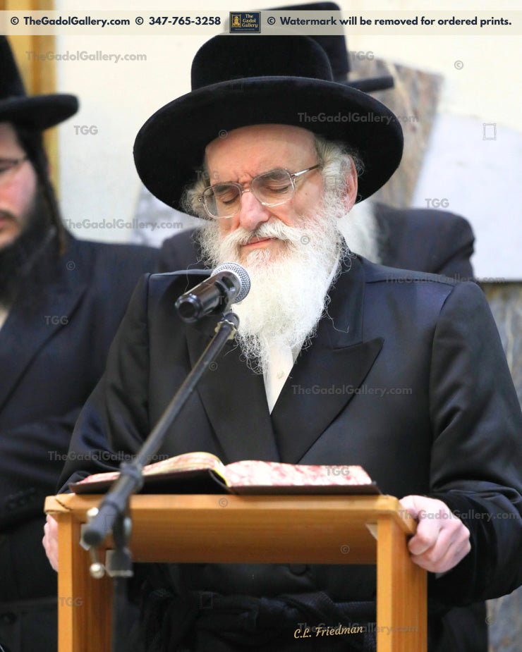 The Viznitz Mercaz Rebbe - Rav Mendel Hager 3