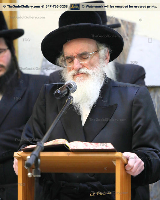 The Viznitz Mercaz Rebbe - Rav Mendel Hager 3