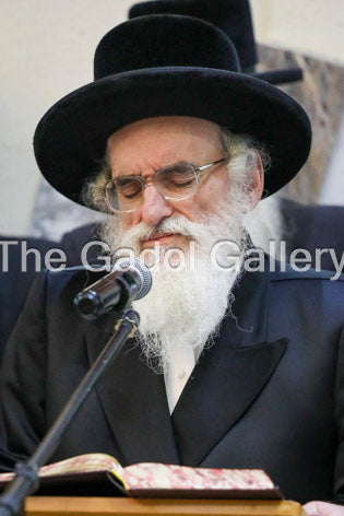 The Viznitz Mercaz Rebbe - Rav Mendel Hager 3