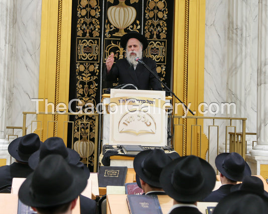 Rav Ephraim Wachsman 3 - רב אפרים וואקסמאן