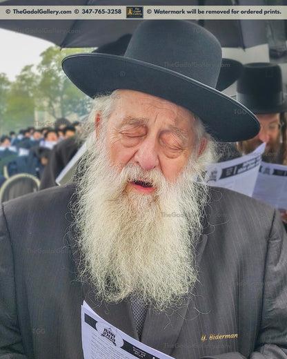 Rav Elya Ber Wachtfogel -2- רב אלי' בער וכטפוגל