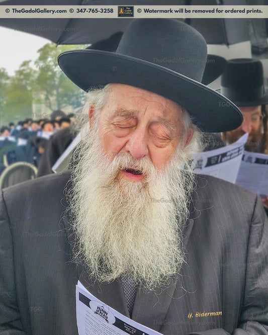 Rav Elya Ber Wachtfogel -2- רב אלי' בער וכטפוגל