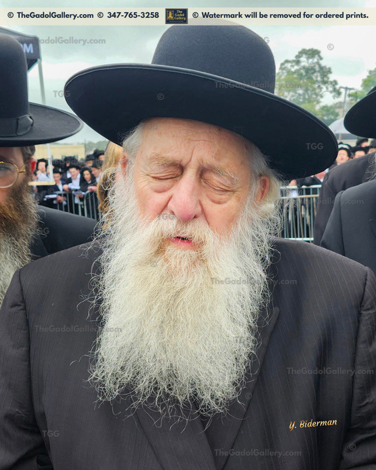 Rav Elya Ber Wachtfogel -(2)- רב אלי' בער וכטפוגל