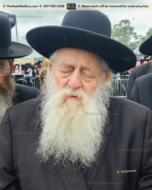 Rav Elya Ber Wachtfogel -(2)- רב אלי' בער וכטפוגל