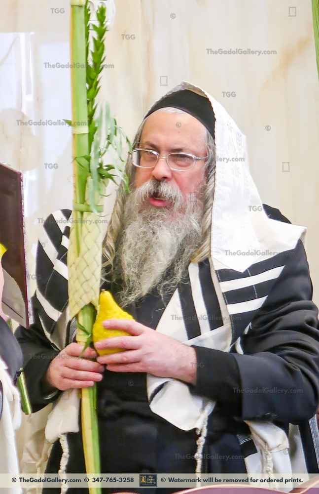 Tolna Rebbe, Rav Yitzchok Menachem Weinberg - האדמו"ר מטאלנא Sukkah Poster