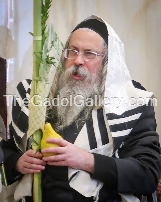 Tolna Rebbe, Rav Yitzchok Menachem Weinberg - האדמו"ר מטאל× א Sukkah Poster