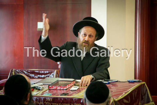 Rav Moshe Weinberger Sukkah Poster