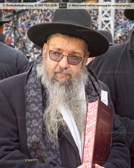 Rav Moshe Meir Weiss - רב משה מאיר ווייס