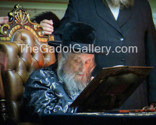 The Ga'avad, Rav Yitzchok Tuvia Weiss -2- רב יצחק טוביה ווייס