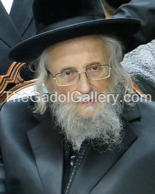 The Ga'avad, Rav Yitzchok Tuvia Weiss -3- רב יצחק טוביה ווייס Sukkah Poster