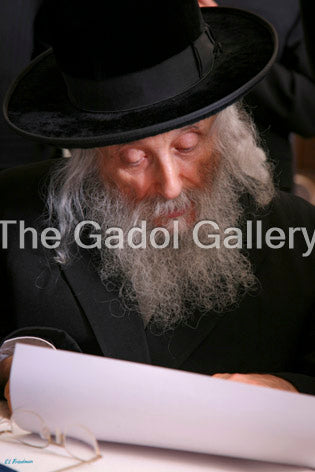 The Ga'avad, Rav Yitzchok Tuvia Weiss -1- רב יצחק טוביה ווייס Sukkah Poster