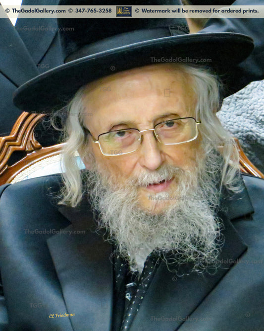The Ga'avad, Rav Yitzchok Tuvia Weiss -3- רב יצחק טוביה ווייס