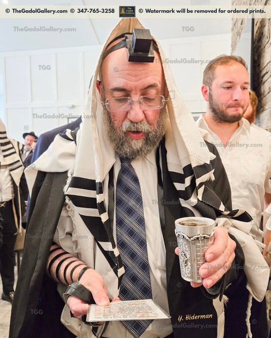Rav Yosaif Asher Weiss - רב יוסף אשר ווייס