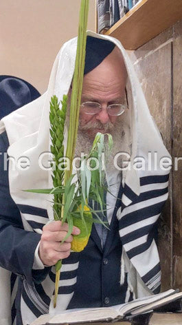 Rav Yankel Whiteman Sukkah Poster