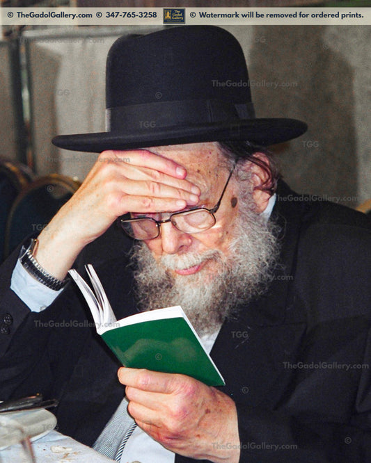 Rav Shlomo Wolbe - 2