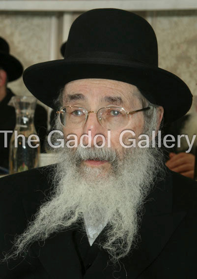Rav Moshe Wolfson 2 Sukkah Poster