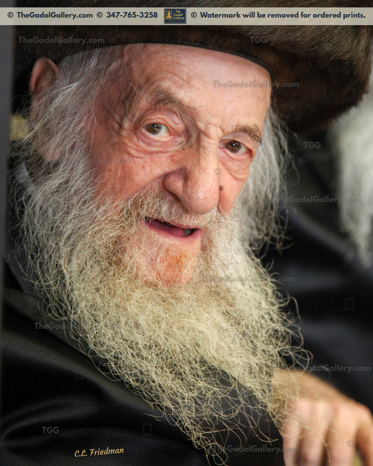 Rav Shmuel Wosner -1- רב שמואל ווזנר