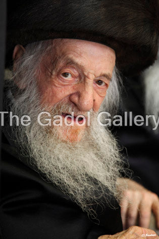 Rav Shmuel Wosner -1- רב שמואל ווז× ר Sukkah Poster