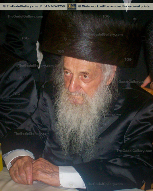 Rav Shmuel Wosner -2- רב שמואל וואזנר