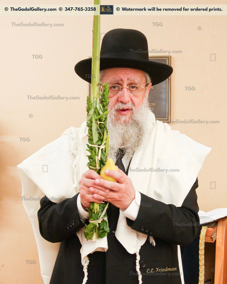 Rav Dovid Yosef -1- רב דוד יוסף