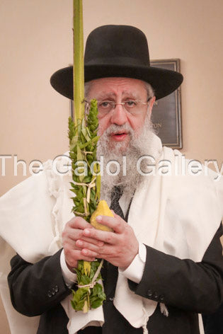 Rav Dovid Yosef -1- רב דוד יוסף Sukkah Poster