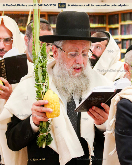 Rav Dovid Yosef -2- רב דוד יוסף