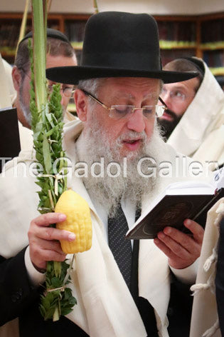 Rav Dovid Yosef -2- רב דוד יוסף Sukkah Poster