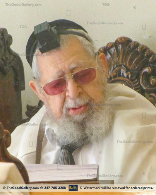 Chacham Ovadiah Yosef -3- חכם עובדיה יוסף