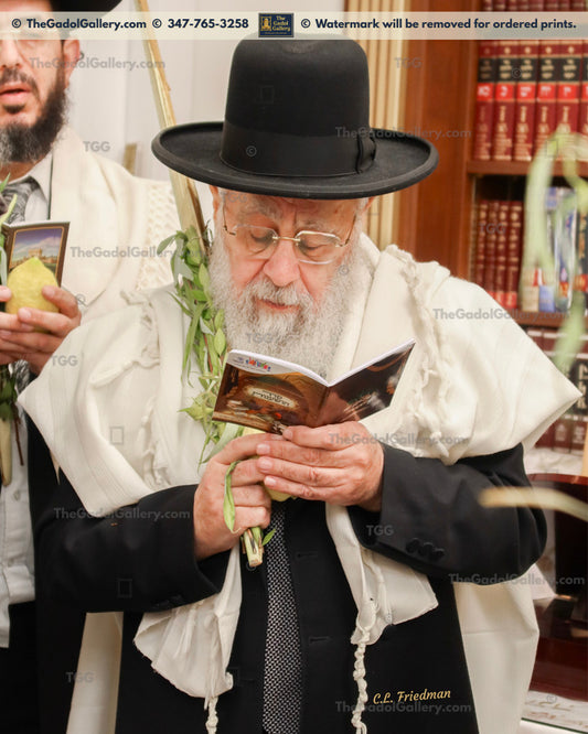 Rav Yitzchok Yosef - Lulav 1 - רב יצחק יוסף