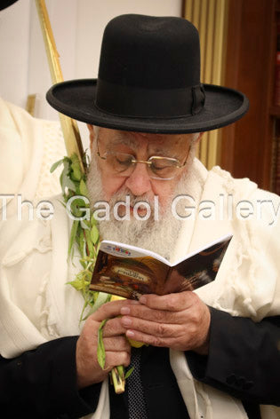 Rav Yitzchok Yosef - Sukkos 1 - רב יצחק יוסף Sukkah Poster