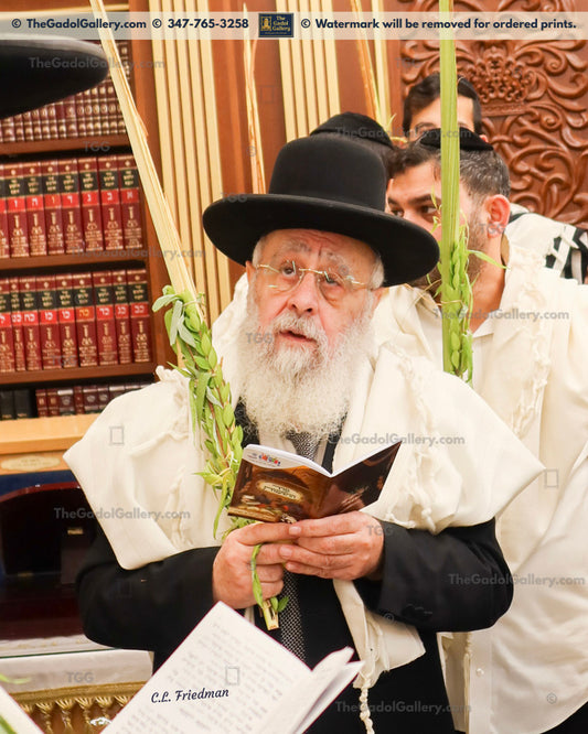 Rav Yitzchok Yosef - Lulav 2 - רב יצחק יוסף