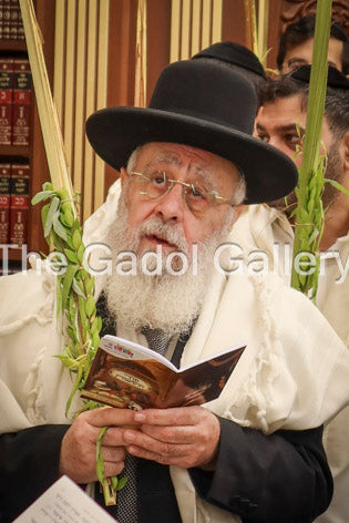 Rav Yitzchok Yosef - Sukkos 2 - רב יצחק יוסף