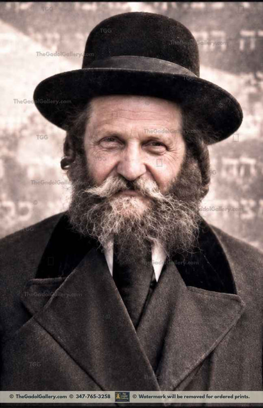 Rav Menachem Ziemba -AI- Sukkah Poster