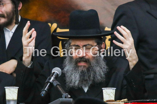 Rav Tzvi Meir Zilberberg -1- רב צבי מאיר זילברברג Sukkah Poster