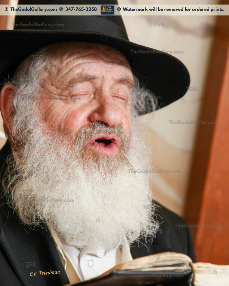 Rav Uri Zohar