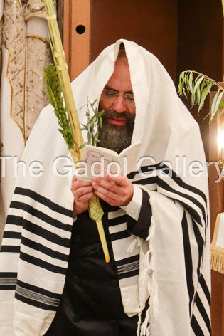Rav Shmuel Zucker -4- רב שמואל צוקר Sukkah Poster