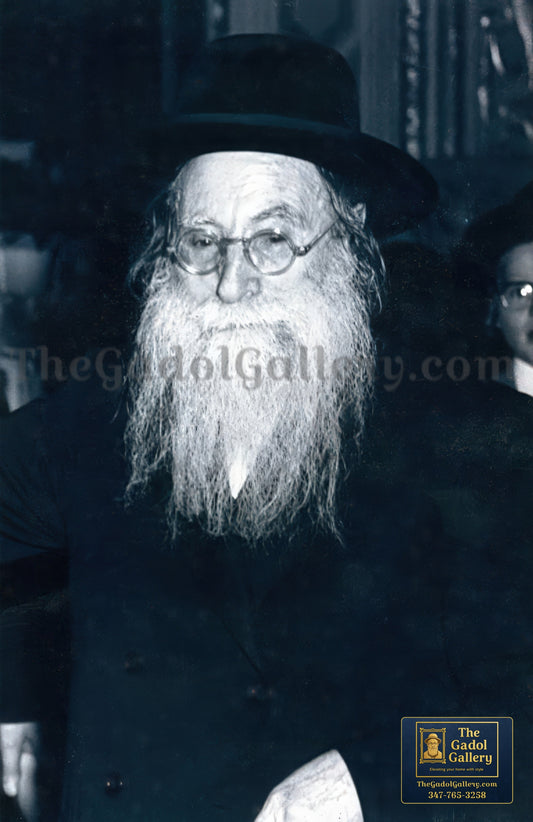 Rav Yonoson Steif - רב יו× תן שטייף Sukkah Poster