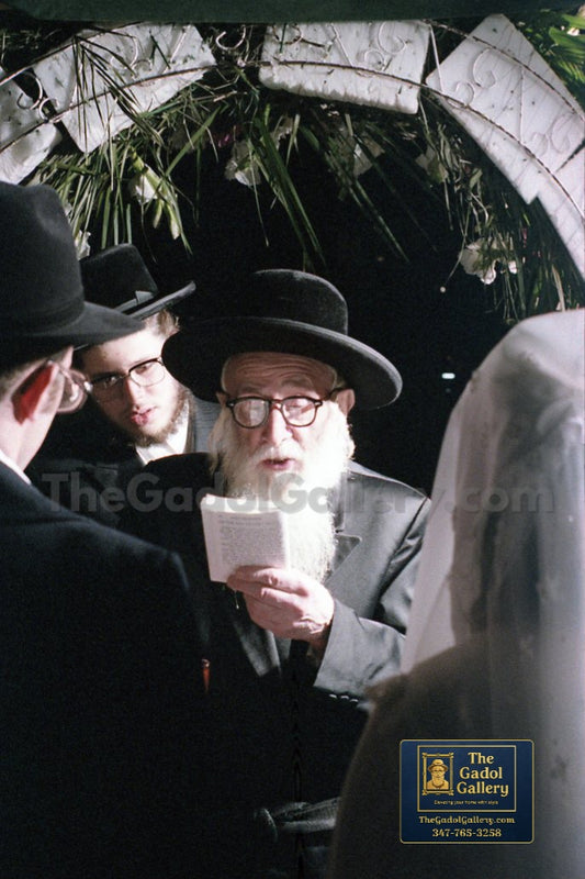 Bluzhever Rebbe, Rav Yisroel Spira -2- האדמו"ר מבלאזוב