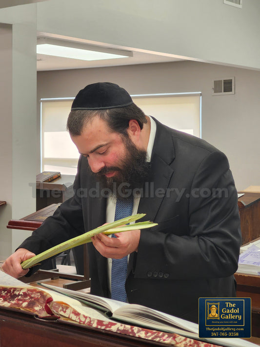 Rav Yisroel Dovi Teren Sukkah Poster