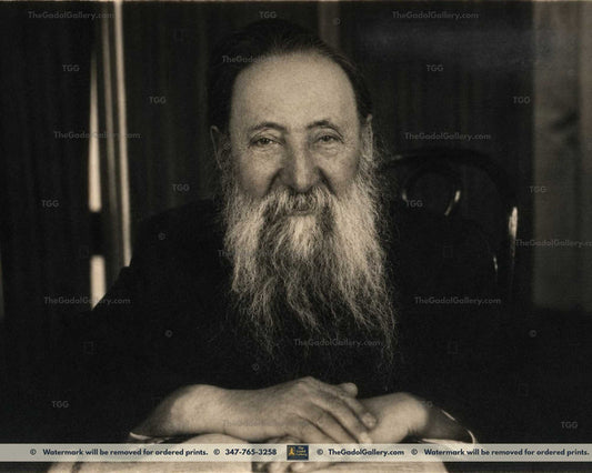 Rav Chaim Ozer Grodzienski -2(AI)- רב חיים עוזר גראדזענסקי
