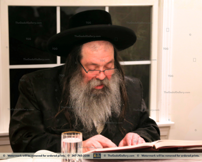 Rav Yisachar Ber Leifer - Beshtiner Rebbe - 1 - האדמו"ר מבישטינא פ"ת