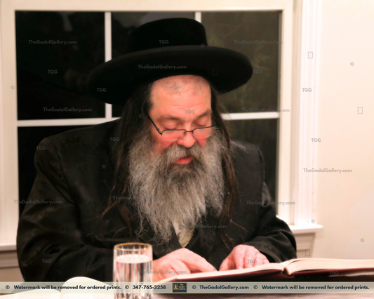 Rav Yisachar Ber Leifer - Beshtiner Rebbe - 1 - האדמו"ר מבישטינא פ"ת
