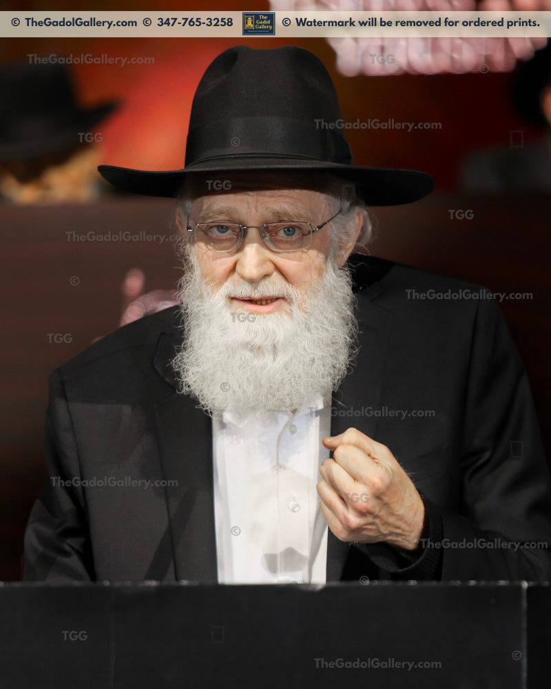 Rav Asher Arieli 7