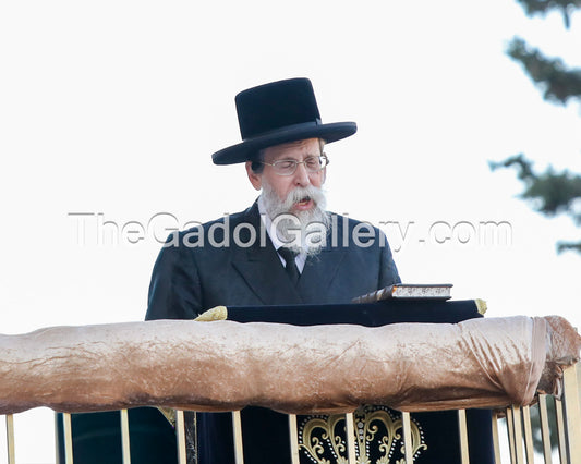 The Boyaner Rebbe, Rav Nachum Dov Brayer - 3 - האדמו"ר מבאיאן