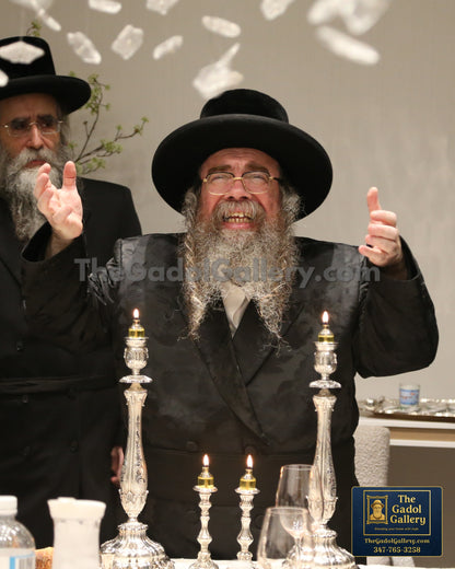 Rav Chaim Pinchas Yosef Schneebalg, the Ziditchov Veretzky Rebbe -1- האדמו"ר מזידיטשוב ווערעצקי